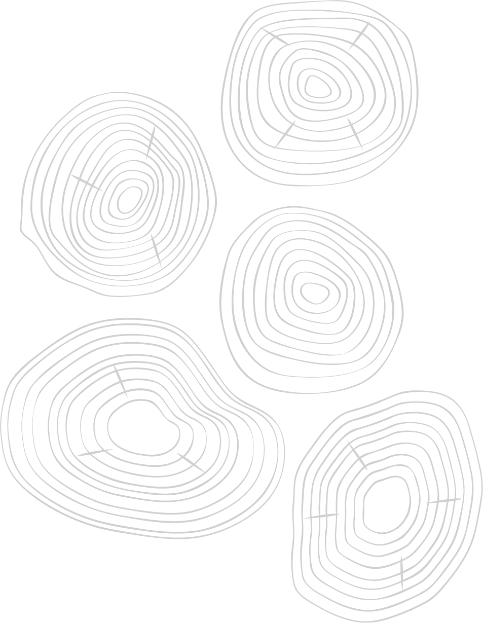 Log Pattern