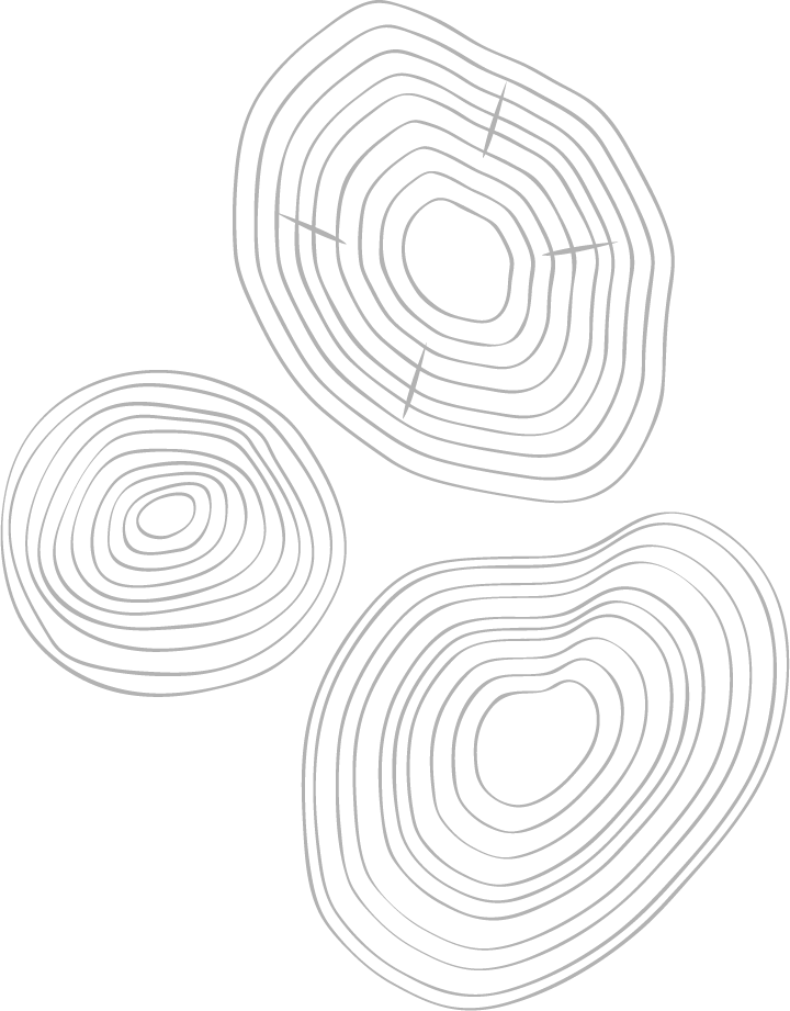 Log Pattern