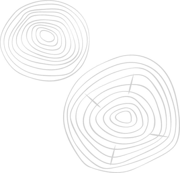 Log Pattern