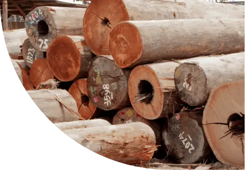 Round Logs